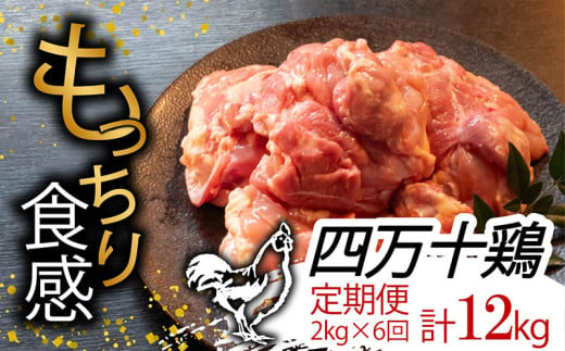 【定期便6回】銘柄鶏 四万十鶏 もも肉 計12kg（2kg×6ヶ月連続お届け) Tコース | 切身 カット 時短 小分け カット済み 鳥肉 とりにく 鶏もも 冷蔵 国産 ブランド 唐揚げ 煮物 鍋 チキン 南蛮 高知県 須崎市 TM22000 1523155 - 高知県須崎市