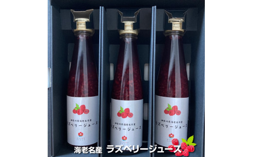 海老名産ラズベリージュース 200g 3瓶 [ 飲み物 ラズベリー ジュース 神奈川県 海老名市 ]