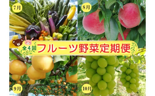 【定期便：全４回】フルーツと無農薬野菜の定期便　0148-2502 1189185 - 山形県上山市