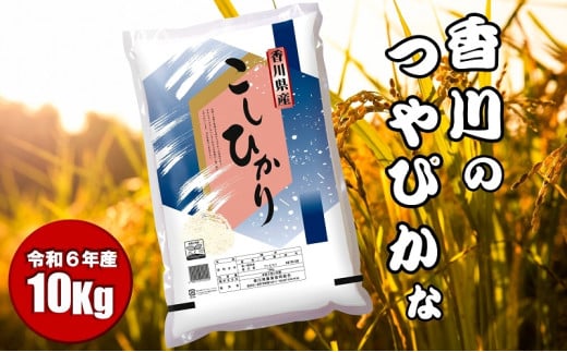 【令和6年産】　香川のお米　コシヒカリ　10kg お米 551038 - 香川県観音寺市