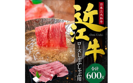 D-E10 近江牛 ロース しゃぶしゃぶ用600g 本多商店 牛 牛肉 国産 和牛 ブランド牛 ロース肉 赤身 しゃぶしゃぶ 炒め物 煮物 ギフト 贈り物 高級 人気 近江 東近江市 滋賀県 870964 - 滋賀県東近江市