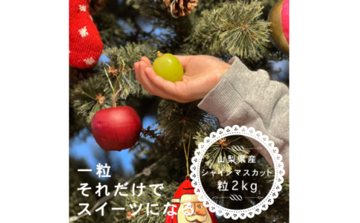 ＜12月1月発送＞冬に食べられる シャインマスカット 粒 (2kg以上) 山梨産【1560612】 1524253 - 山梨県山梨市