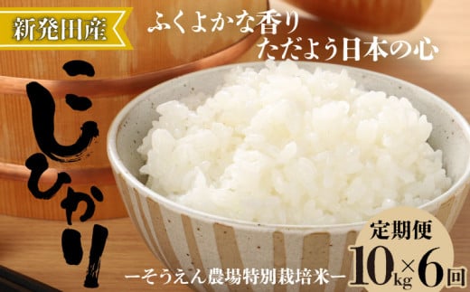 [定期便] 令和6年産 そうえん米コシヒカリ 10kg×6か月 [ 新潟県 新潟産 新潟米 新発田産 新発田 お米 米 コシヒカリ とんとん市場 せいだ そうえん米 10kg 60kg 6か月 半年 定期便 数量限定 D12_02 ]