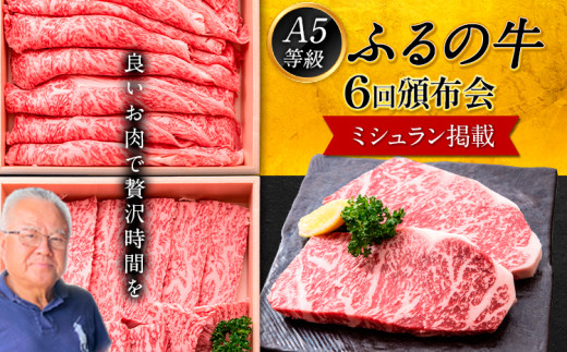 鞍手町 ふるの牛 頒布会 計2kg以上 全6回《お申込み月の翌月から出荷開始》ふるの牛 サーロインステーキ 特選焼き肉用 ロース カルビ すき焼き しゃぶしゃぶ ロース 焼肉 焼肉用 定期便 頒布会 3ヶ月定期便 796998 - 福岡県鞍手町