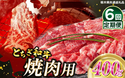 【定期便6回】とちぎ和牛焼肉用 400ｇ | 和牛切り落とし 黒毛和牛 切り落とし 栃木県産黒毛和牛 焼肉 バーベキュー BBQ  肉 牛肉 高級 ご褒美 ふるさと納税 栃木県 那珂川町 送料無料 1532791 - 栃木県那珂川町