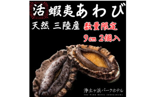 ＜先行予約(12月発送)＞岩手県より獲れたて鮮魚直送便 ＜活蝦夷アワビ150g×2個＞【1554527】 1523884 - 岩手県宮古市