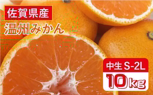 【10月上旬頃～1月上旬発送】こたつで美味しいみかんを♪ 佐賀県産 中生みかん 10kg 吉野ヶ里町/リエンサーク [FCC009]