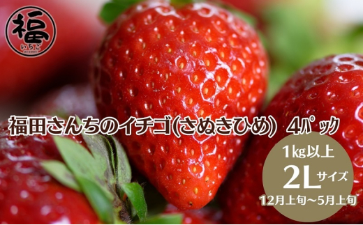 【年内出荷開始】福田さんちのイチゴ(さぬきひめ) 2Lサイズ×4パック1kg以上【配送不可：北海道、沖縄県、離島エリア】苺 農園直送 いちご採れたて直送 551633 - 香川県観音寺市