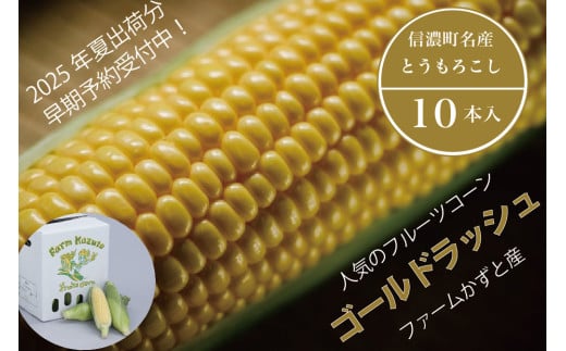  信濃町名産とうもろこし『ファームかずとのゴールドラッシュ 10本セット』【2025年夏のご予約受付開始！】生産者直送　令和7年（2025年）8月出荷分 先行予約【長野県信濃町ふるさと納税】　 717752 - 長野県信濃町