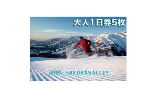 HAKUBA VALLEY 10 スキー場共通リフト券＜大人1日券5枚＞【1560077】 1523849 - 長野県白馬村