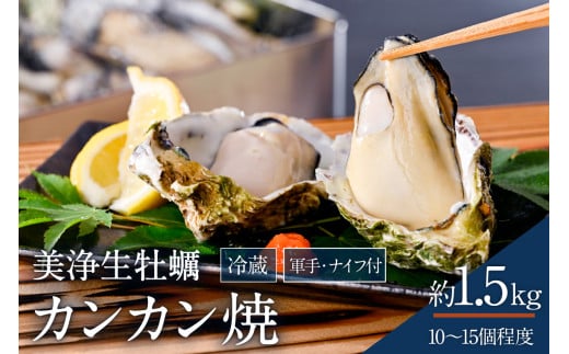 [先行受付][2026年1月中旬より発送]中野水産 美浄生牡蠣 冷蔵 カンカン焼 軍手、牡蠣ナイフ付 約1.5kg (10〜15個程度) ku007-005-25