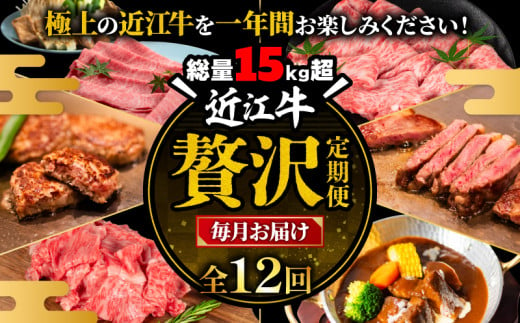 近江牛 100万円 定期便 12回 冷凍 肩ロース すき焼き しゃぶしゃぶ 焼肉用 切り落とし サーロインステーキ ビーフシチュー ハンバーグ ギフト 肉 お取り寄せ 黒毛和牛 贈答用 ごはんのお供 三大和牛 近江小判 惣菜 ブランド おかず 贈り物 自宅用 滋賀県 竜王町 岡喜 ふるさと納税 神戸牛 松阪牛 に並ぶ 日本三大和牛 1542339 - 滋賀県竜王町