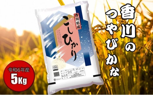 【令和6年産】　香川のお米　コシヒカリ　5kg お米 551034 - 香川県観音寺市