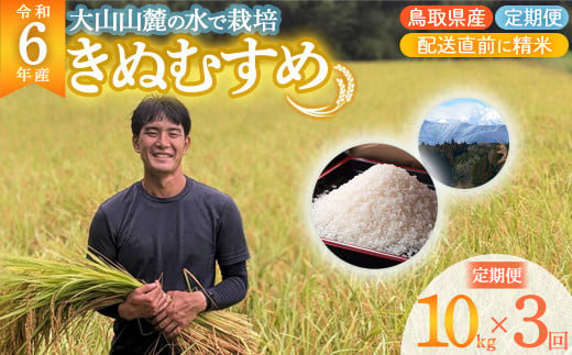 数量限定 令和6年産 きぬむすめ （ 10kg × 3回 ） 定期便 令和6年産米 精米 お米 米 こめ コメ 白米 ごはん ご飯 ゴハン ブランド米 鳥取県 倉吉市 1531478 - 鳥取県倉吉市