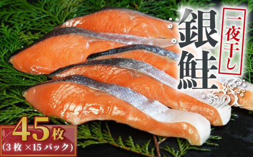 銀鮭 一夜干し 45枚 （15パック×3枚）干物 ひもの さけ 鮭 魚 海鮮 おかず 酒 のあて おつまみ 弁当 塩 魚介 惣菜 食品 冷凍食品 グルメ 贈答 贈り物 プレゼント ギフト お取り寄せ ふるさと納税 送料無料 千葉県 銚子市 株式会社甲印小西商店 1552174 - 千葉県銚子市