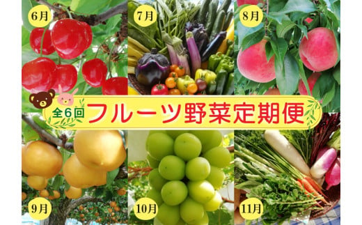 【定期便：全６回】フルーツと無農薬野菜の定期便　0148-2501 1189184 - 山形県上山市