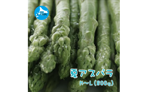 【2015年夏発送】北海道上ノ国町産 朝採り当日発送 刀祢農園の夏アスパラ　M～L  800g