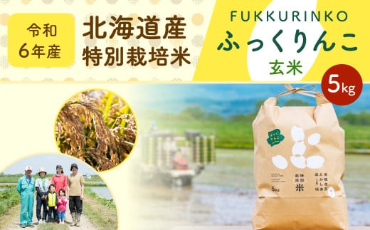 令和6年産》北海道産 特別栽培米ふっくりんこ（玄米） 5kg 国産 北海道産 米 お米 玄米 ごはん 北海道 深川市  【2024年11月下旬より発送開始】｜ふるラボ