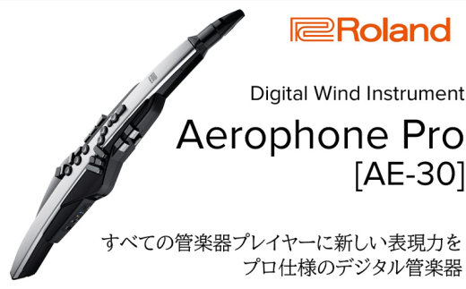 【Roland】電子管楽器/Aerophone Pro AE-30【配送不可：離島】 [№5786-5450]