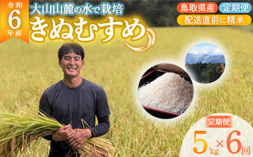 【数量限定】 令和6年産 きぬむすめ （ 5kg × 6回 ） 定期便 令和6年産米 精米 お米 米 こめ コメ 白米 ごはん ご飯 ゴハン ブランド米 鳥取県 倉吉市 1531477 - 鳥取県倉吉市