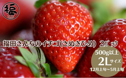 【年内出荷開始】福田さんちのイチゴ(さぬきひめ) 2Lサイズ×2パック 500g以上【配送不可：北海道、沖縄県、離島エリア】苺 農園直送 いちご採れたて直送 551632 - 香川県観音寺市