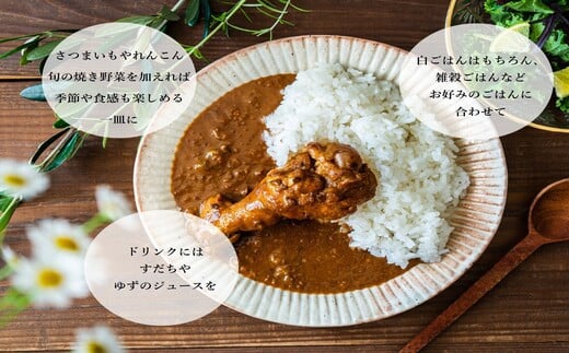 阿波尾鶏骨つき地鶏のごちそうカレー5食 1522723 - 徳島県美波町