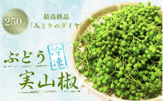  冷凍 ぶどう 生実山椒 250g / 山椒 さんしょう 香辛料 調味料 薬味 冷凍 ぶどう山椒 生山椒 和歌山県 紀美野町 生実山椒【twn020】 1522111 - 和歌山県紀美野町