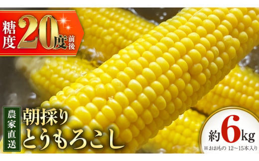 朝採り 農家直送 とうもろこし 6kg 「 おおもの 」【 先行予約 ・ 7月中旬以降発送】トウモロコシ スイートコーン コーン 野菜 大粒 大きい 新鮮 甘い 高糖度 サラダ 八千代町産 茨城県産 産地直送 [AX027ya]