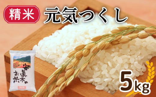 【1週間以内発送】元気つくし （精米） 5㎏ （福岡県認定地域資源） 米 お米 精米 美味しいコメ ご飯 ゴハン 夕ご飯 野菜 晩ごはん 備蓄 防災 災害 福岡 川崎 1523084 - 福岡県川崎町