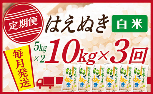 【定期便】【白米】 山形県産 はえぬき 10kg (5kg×2)  3回配送