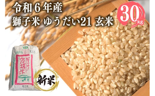 【令和6年産】獅子米 ゆうだい21 玄米30kg お米 米 おこめ ブランド米 30キロ 国産 単一原料米 コメ こめ ご飯 銘柄米 茨城県産 茨城 産直 産地直送 農家直送 ごはん 家庭用 贈答用 お取り寄せ ギフト 茨城県 石岡市 (G433)  1079456 - 茨城県石岡市