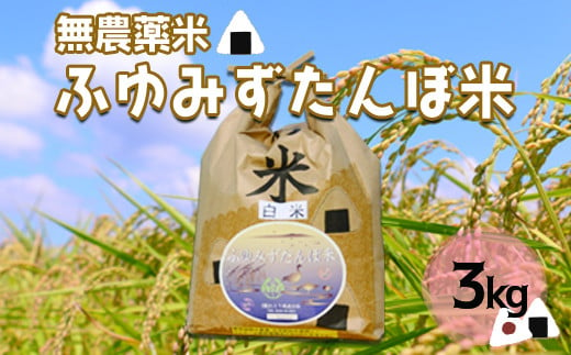 (03534)宮城県大崎市田尻産　無農薬米「ふゆみずたんぼ米」3kg【2024年産】