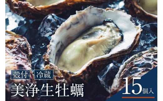 [先行受付][2026年1月中旬より発送]中野水産 美浄生牡蠣(殻付)15個 牡蠣ナイフ付 ku007-003-25