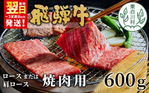 飛騨牛 ロースまたは肩ロース 焼肉用 600g 牛肉 和牛 肉 焼肉 BBQ ロース カタロース 肩ロース 東白川村 岐阜 贅沢 霜降り 養老ミート 20000円 二万円 920252 - 岐阜県東白川村