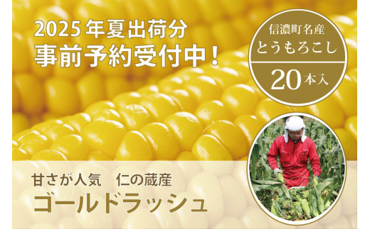 仁の蔵『ゴールドラッシュ 20本』 2025年夏出荷分 先行予約開始！ 信濃町産トウモロコシ／スイートコーンの人気品種の予約受付中！ 令和7年7月下旬〜出荷予定【長野県信濃町ふるさと納税】 1361827 - 長野県信濃町