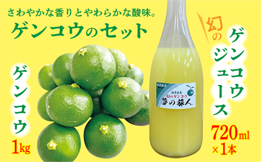 【数量限定】さわやかな香りにやわらかな酸味 幻の ゲンコウ ジュース １本 + ゲンコウ １kg 希少 _b-420 1519633 - 佐賀県多久市