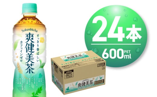 爽健美茶 600ml PET×24本 お茶 飲料 カフェインゼロ ペットボトル ソフトドリンク 札幌工場製造 札幌市 1085402 - 北海道札幌市