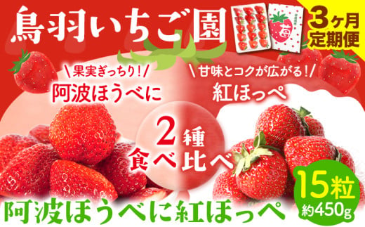 ＜ 先行予約 ＞ いちご 2種 食べ比べ 3ヶ月定期便 1回15粒 約450g 鳥羽いちご園 阿波ほうべに 紅ほっぺ 《1月上旬-3月下旬頃出荷》いちご イチゴ 苺 お試しサイズ 2種食べ比べ 徳島県 オリジナル品種 阿波ほうべに 紅ほっぺ 大粒 果物 フルーツ スイーツ 送料無料 1541174 - 徳島県上板町