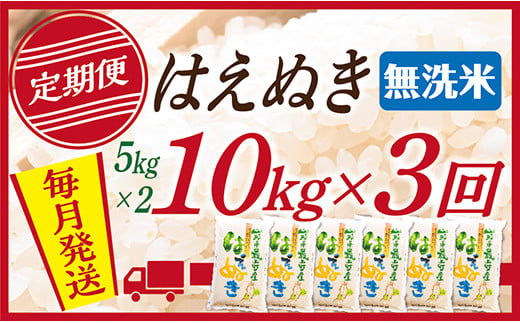 【定期便】【無洗米】 山形県産 はえぬき 10kg (5kg×2)  3回配送