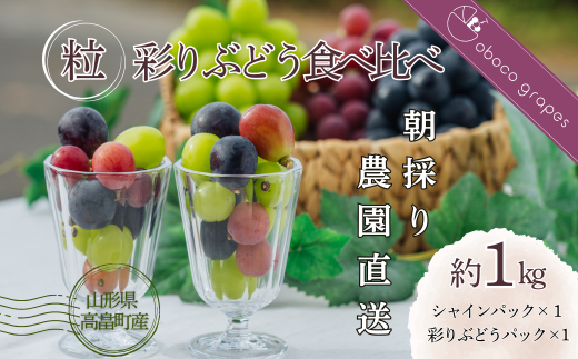 ≪2025年先行予約≫山形県 高畠町産 大粒ぶどう 彩りぶどう食べ比べ 粒 約1㎏（500g×2）2025年9月中旬から順次発送 ぶどう ブドウ 葡萄 マスカット 大粒 種なし 高級 くだもの 果物 フルーツ 秋果実 食べ比べ 自宅用 家庭用 ギフト 贈り物 プレゼント 産地直送 農家直送 数量限定 F21B-307 1544676 - 山形県高畠町