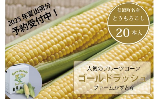 信濃町名産とうもろこし『ファームかずとのゴールドラッシュ 20本セット』【2025年夏出荷分・先行予約受付開始！】生産者直送 令和7年8月〜順次出荷【長野県信濃町ふるさと納税】　 1339237 - 長野県信濃町