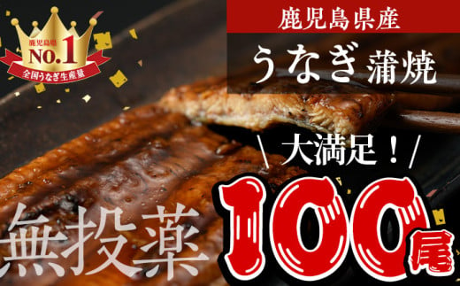 鹿児島県産うなぎ蒲焼 (1尾あたり136ｇ～155ｇ×100尾、タレ・山椒付き) 鰻 ウナギ うな重 ひつまぶし かばやき 九州産 国産 冷凍【西日本養鰻】P5