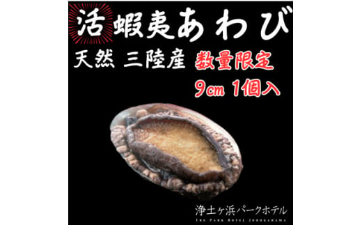 ＜先行予約(12月発送)＞岩手県より獲れたて鮮魚直送便 ＜活蝦夷アワビ150g×1個＞【1557332】 1523886 - 岩手県宮古市