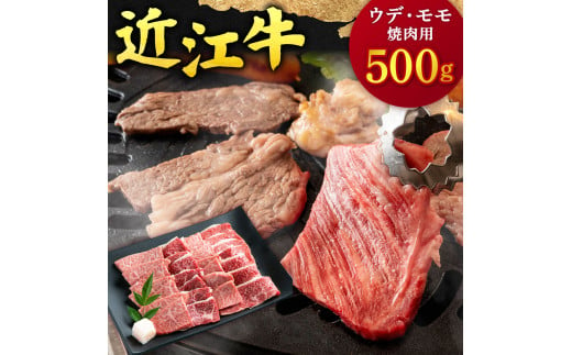 B-F12 近江牛 ウデ ・ モモ 焼肉用 500g  本多商店 牛 牛肉 国産 和牛 ブランド牛 赤身 焼肉 焼き肉 やきにく 炒め物 煮物 ギフト 贈り物 高級 人気 近江 東近江市 滋賀県 1494623 - 滋賀県東近江市