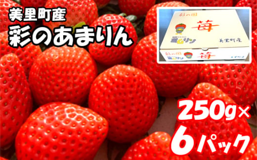 美里町産いちご6P【彩のあまりん】（250g以上×6パック） ／ 苺 イチゴ 果物 フルーツ 埼玉県 特産品 [No.217]