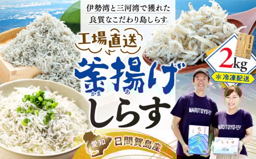  しらす 2kg 釜揚げしらす 島の工場から直送 愛知県 日間賀島産 減塩 冷凍 丸豊 魚 さかな ご飯 ごはん 国産 シラス 離乳食 人気 おすすめ 愛知県 南知多町 1355493 - 愛知県南知多町