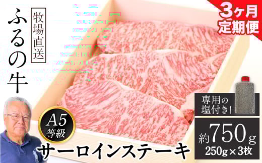 【3ヶ月定期便】ふるの牛（黒毛和牛）特選サーロインステーキ 750g(250g×3枚) ゲランド塩付き A5 有限会社ふるの《お申込み月の翌月から出荷開始》 3回お届け 計3回 定期便 2kg以上 796997 - 福岡県鞍手町