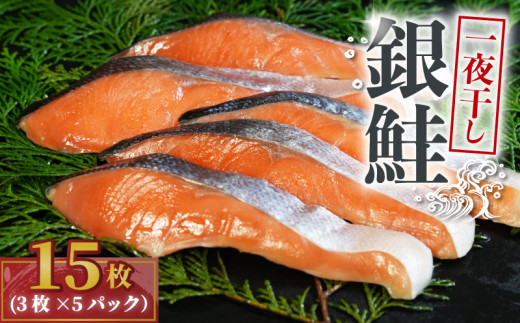 銀鮭 一夜干し 15枚 （5パック×3枚）干物 ひもの さけ 鮭  魚 海鮮 おかず 酒 のあて おつまみ 弁当 塩 魚介 惣菜 食品 冷凍食品 グルメ 贈答 贈り物 プレゼント ギフト お取り寄せ ふるさと納税 送料無料 千葉県 銚子市  10000円 株式会社甲印小西商店 1552171 - 千葉県銚子市