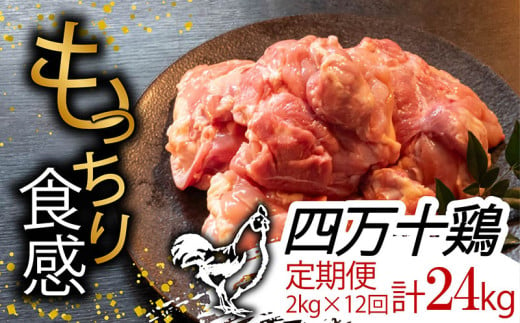 【定期便12回】銘柄鶏 四万十鶏 もも肉 計24kg（2kg×12ヶ月連続お届け) Uコース | 切身 カット 時短 小分け カット済み 鳥肉 とりにく 鶏もも 冷蔵 国産 ブランド 唐揚げ 煮物 鍋 チキン 南蛮 高知県 須崎市 TM23000 1523156 - 高知県須崎市