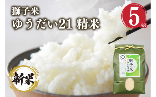 【令和6年産】獅子米 ゆうだい21 精米 5kg お米 白米 米 おこめ ブランド米 ゆうだい ユウダイ21 5キロ 国産 単一原料米 コメ こめ ご飯 銘柄米 茨城県産 茨城 産直 産地直送 農家直送 ごはん 家庭用 贈答用 お取り寄せ ギフト 茨城県 石岡市 (G430) 1079457 - 茨城県石岡市